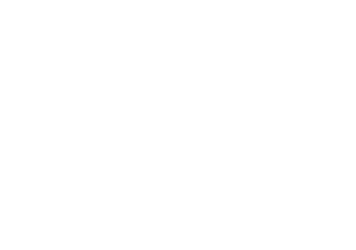 Bad Girl Pro Logo