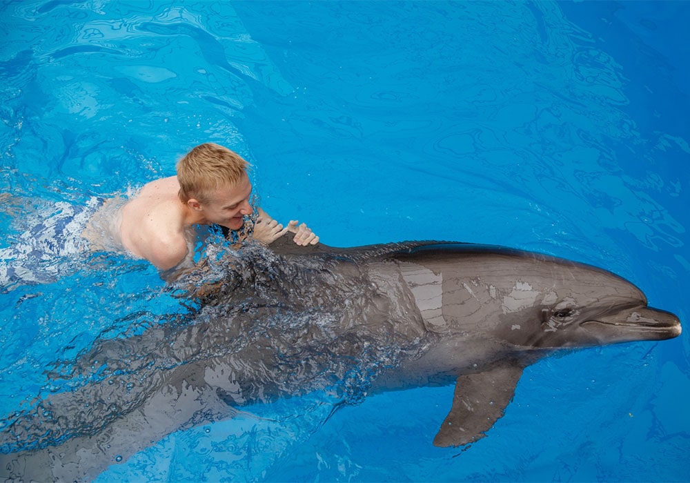 Happy man swimming with a bottlenose dolphin.